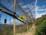 非武装地帯自生植物園、非武装地帯の植物図鑑を初めて出版