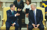 ［ニュース分析］韓米首脳「北朝鮮の非核化に向けた圧迫と対話の並行に共感」