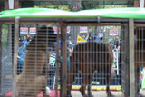 犬農業主たち「引き下がるところがないから犬を連れて光化門にきた」