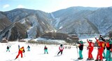 ［ニュース分析］「金剛山・馬息嶺」…文大統領の「平和構想」が現実化
