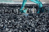 グリーンピース、「福島原発付近の放射能汚染は２２世紀まで継続」調査結果を報告