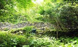 済州「４・３遺跡地」が初めて登録文化財に