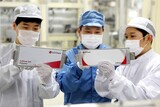 生き残りをかける「コバルト確保戦争」