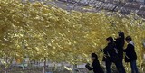 ［社説］セウォル号4周忌、もう「真実の春」を迎える時だ