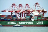 米中貿易戦争、日本の二の舞になるか? 中国は違う?