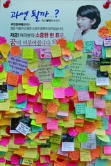 「ドローンでＰＭ２.５対策事業を」…国民参加予算のアイデア１２０６件受付