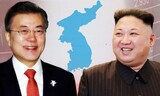 軍事境界線で最初の握手、「１９５３年に芽生えた平和の木」を一緒に植樹