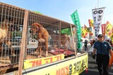 「食用犬肉禁止法」に賛成４０%、反対５１%