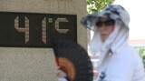 ２年前に改定した電気料金累進制…「廃止を」請願の殺到に政府は“脂汗”