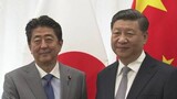 習近平主席「中日、正常軌道に入った」