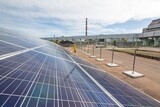 チェルノブイリ、太陽光発電所として再誕生