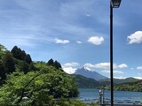 ８月に日本を訪れた韓国人観光客が例年の半分に