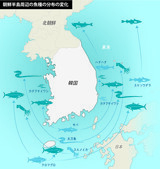 イシモチ→スケソウダラ→サバ…熱い海が「国民魚」変える
