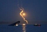 「セウォル号生存者に国家・清海鎮海運は賠償せよ」判決ふたたび