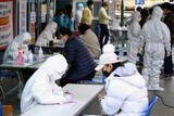 新たな患者８５人が「新天地」関連…信徒５４４人「症状ある」