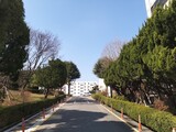 住民の３分の２が新天地…大邱の賃貸マンションに集団居住する理由とは?