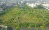 景福宮近隣の土地３万６千平米に公園造成