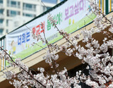 教育当局、「登校始業」と「オンライン始業」を同時に推進へ