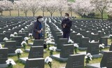 ［ルポ］彼らはどこへ行ったのか…４・３行方不明者５０００人あまりと推定