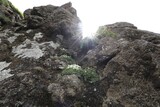 朝鮮半島の山林「１０年間の記録」…絶滅時計が早まった