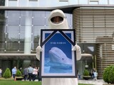 水族館のイルカの５０％は突然死…「ハンファは残りのシロイルカを放流せよ」