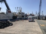 釜山港のロシア船舶発のｎ次感染続出…「埠頭を中心に静かな伝播の可能性」