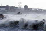 古里原発、台風で停止…「気候危機に原発は代案でなくリスク」
