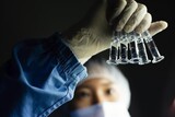 防疫当局「３種の韓国産ワクチン、すべて今年中に臨床試験への着手可能」