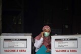 国ごとに「まちまち」…中国「シノバック」コロナワクチンの効能のミステリー