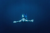 心臓の鼓動、５.４秒に１回…オットセイのレベルにまで進んだ「人間の潜水」