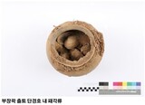 １５００年前の伽耶時代の矢じりと貝殻が出土