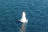 韓国、独自開発のＳＬＢＭ発射成功…文大統領「北の挑発に抑止力見せた」