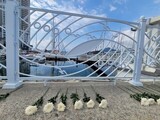 １８歳の実習生が死亡…装備を脱ぐ順番も教えずに潜水させたか＝韓国