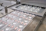 飲むコロナ治療薬は登場したものの…「カギは耐性の抑制」