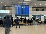 空港出迎え、球場でビール、桜並木を散歩…活気取り戻しつつある韓国の日常