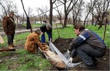 ロシア「マリウポリ完全占領」…「平和交渉中断」懸念