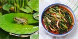 韓国の「カエル混入給食」どうして若大根ばかり