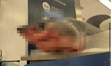 「死んだサメ」と写真を撮れというイーマート…「動物虐待」批判に謝罪文=韓国