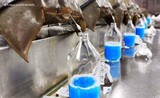 人間が「青い血」を抜く絶滅危惧種…カブトガニを代替する方法はある