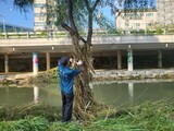 ソウル豪雨「マンホール失踪」、弟に続き姉も遺体で発見…１３人死亡、６人行方不明