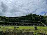 佐渡金山で働いた「朝鮮人１４人」を確認…日本の市民らが見つけた