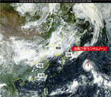 ３０日、韓国西側から最大１２０ミリの雨…台風１１号にも警戒必要
