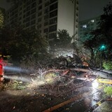 韓国の慶尚南道南岸に上陸した台風１１号…蔚山で１人行方不明、２５００人緊急避難