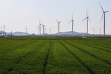 ＩＥＡ「再生可能エネルギー、２０２５年には石炭を抜いて最大の発電源に」
