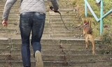 「運動する時間がない」は言い訳、科学が証明…寿命を延ばす１分の力