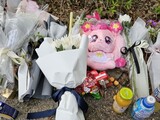 スクールゾーンでの飲酒運転に命奪われた９歳…人形抱きしめ号泣する母＝韓国