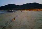 ４２歳で田舎暮らし準備…２００人が移住した海辺の村（１）＝韓国