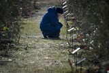ウクライナ戦争でのロシア軍戦死者、４万７千人と推算…公式発表の８倍