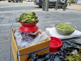 猛暑でも古紙拾い、露店で果物販売…路上の高齢者「食べていくため仕方ない」＝韓国