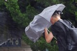 朝鮮半島周辺で３つの台風が同時に動く…台風１１号上陸か